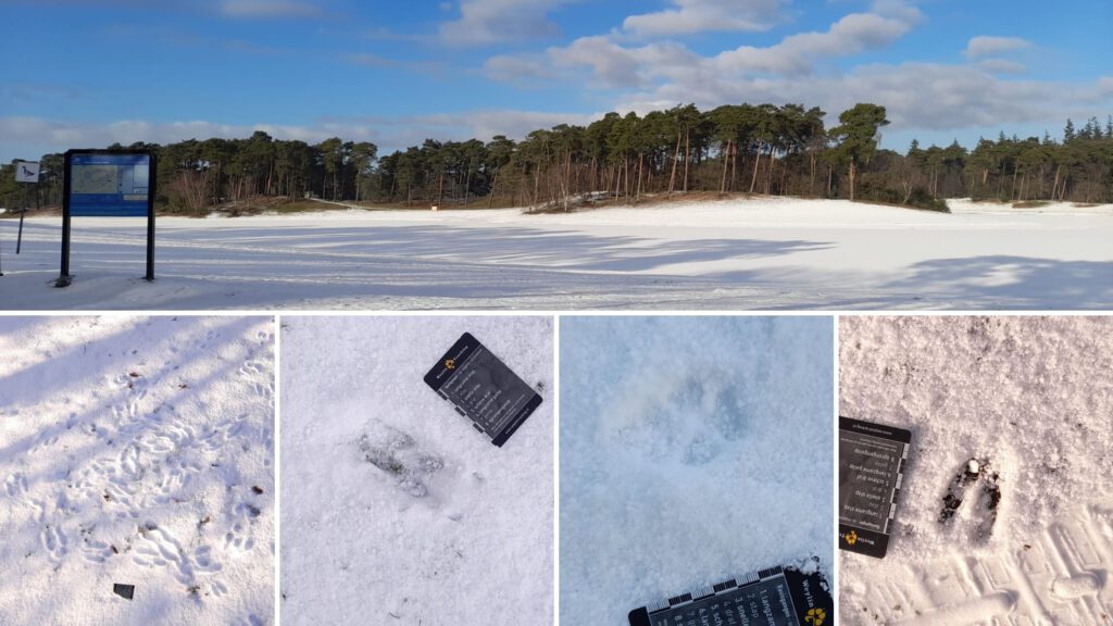 henschotermeer - stap in de natuur - natuurgids